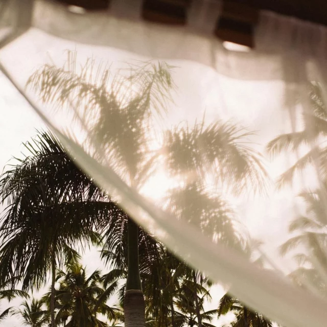 Pause ensoleillée à l’horizon 🌴

À partir du 8 mars, je prends quelques jours de congés. Pas de nombre de jours fixés, juste l’envie de profiter, de ralentir… et de bosser quand j’en ai envie. 😌💻

C’est pour cela que j’adore être nomade digitale. Avec Paniapo Studio, je peux travailler d’où je veux, à mon rythme. Liberté totale. ✈️🏝️

Je resterai dispo par mail, WhatsApp et ici, donc si besoin, n’hésitez pas à me contacter, je vous répondrai ! 

Sea you soon 🌸

#travel #conges #vacances #nomadedigital #entrepreneur #webdesigner